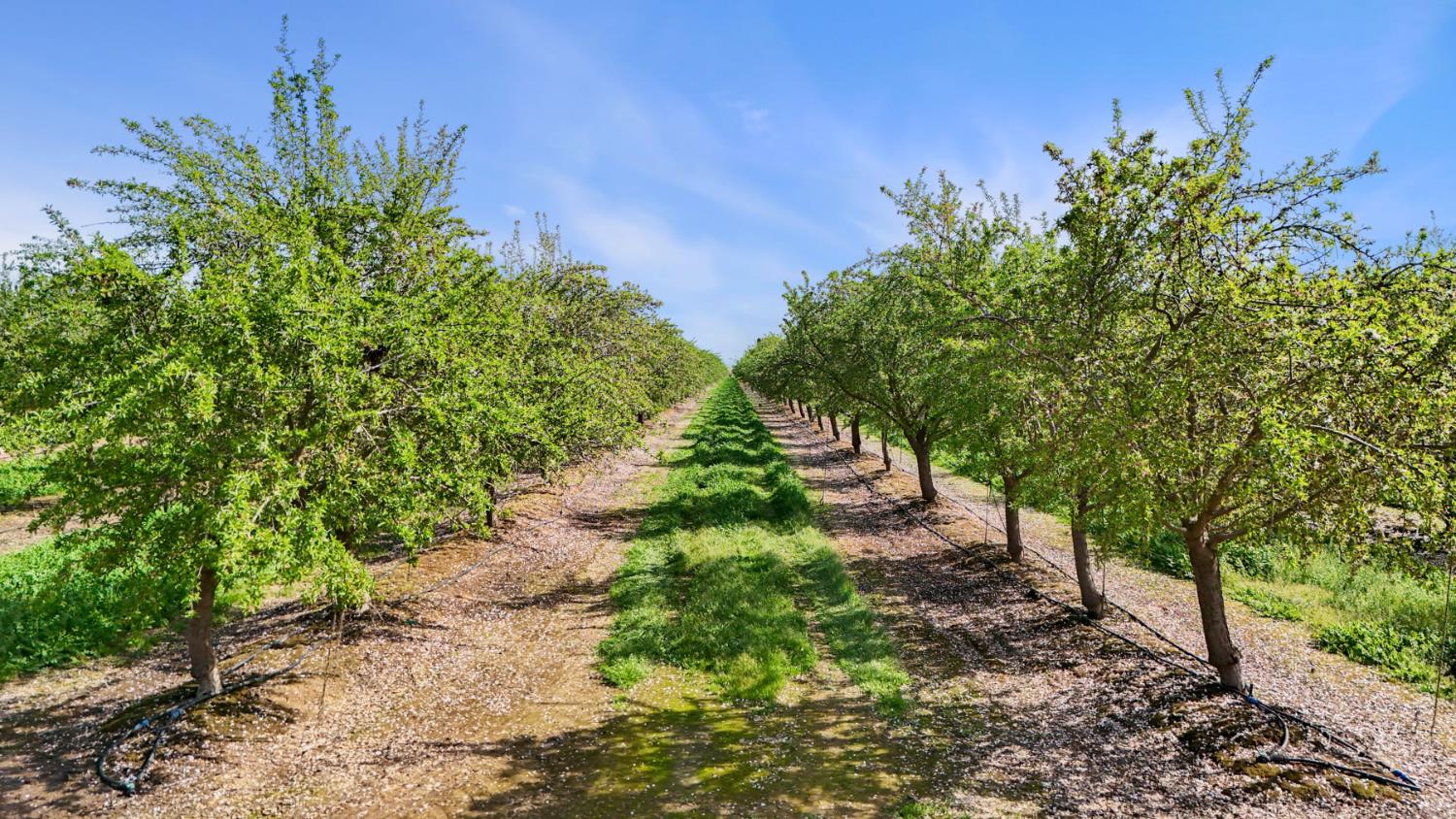 4506 S Ispen, Le Grand, CA 95333