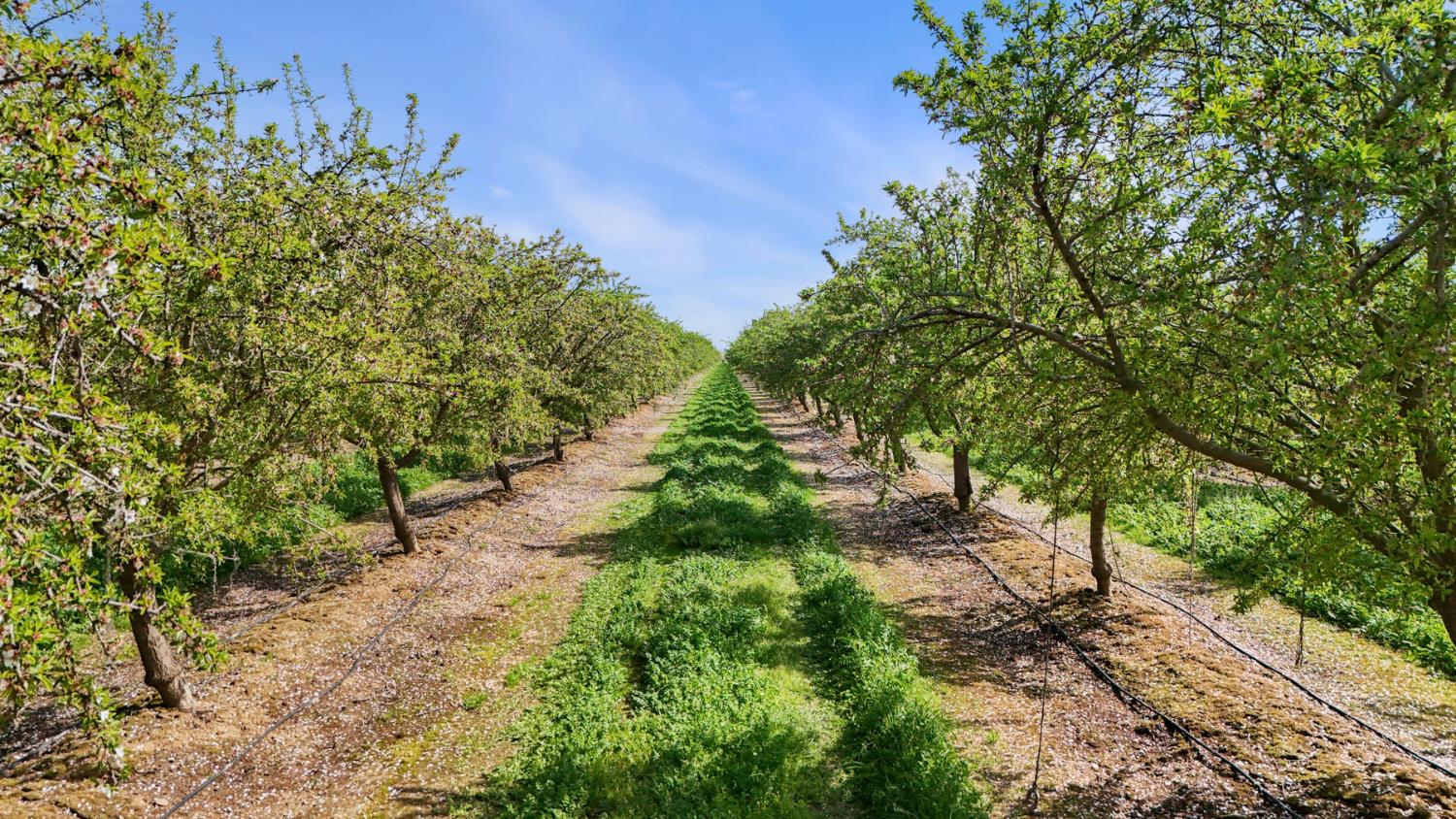 4506 S Ispen, Le Grand, CA 95333