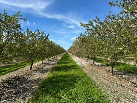 4506 S Ispen, Le Grand, CA 95333