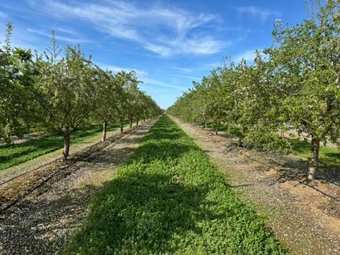 4506 S Ispen, Le Grand, CA 95333