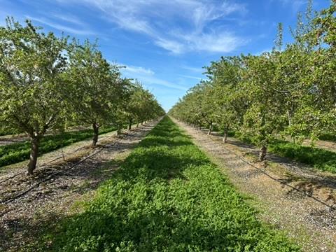 4506 S Ispen, Le Grand, CA 95333