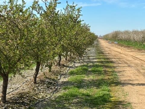 4506 S Ispen, Le Grand, CA 95333