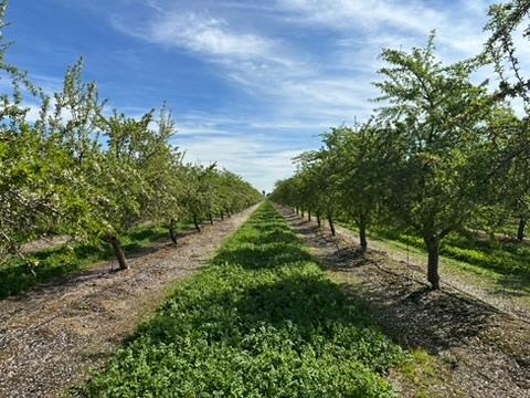 4506 S Ispen, Le Grand, CA 95333