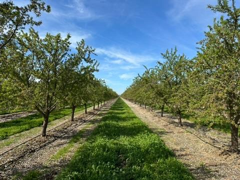 4506 S Ispen, Le Grand, CA 95333