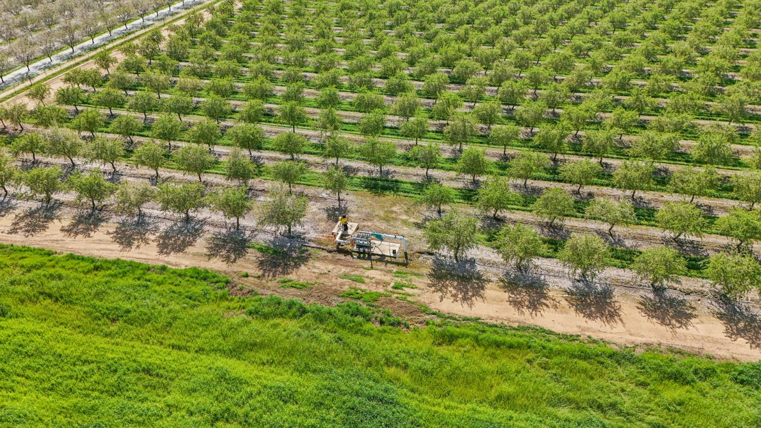 4506 S Ispen, Le Grand, CA 95333