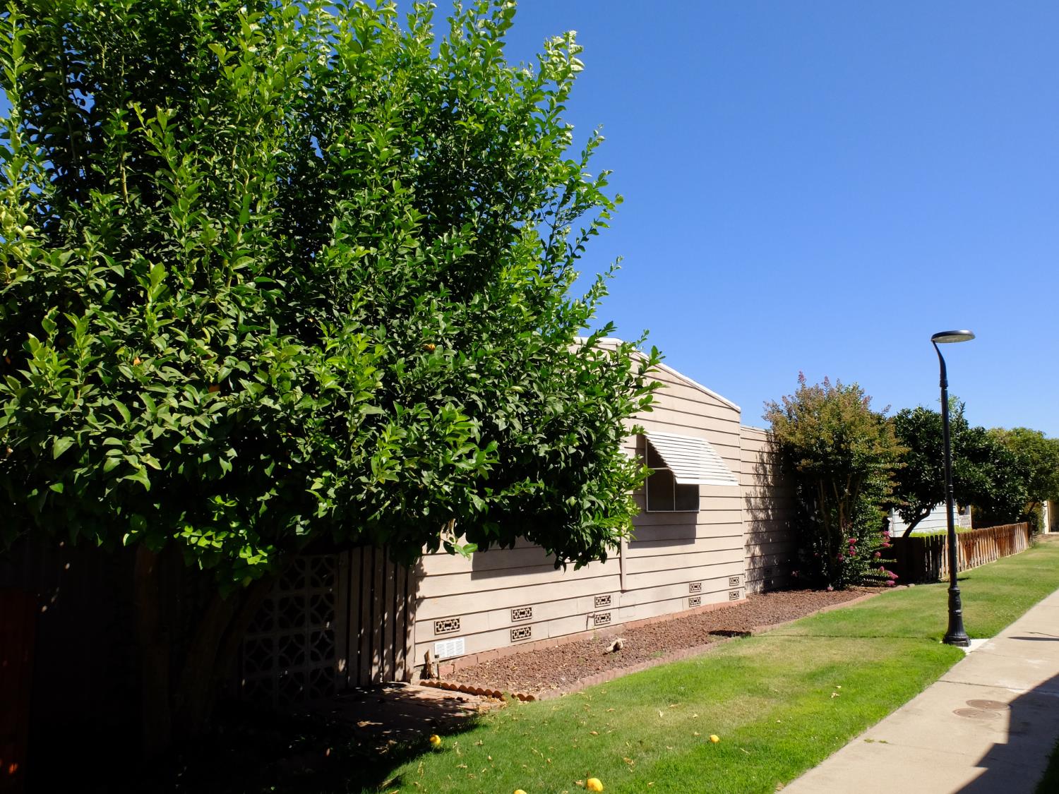 3829 Pali Pl, Modesto, CA 95355