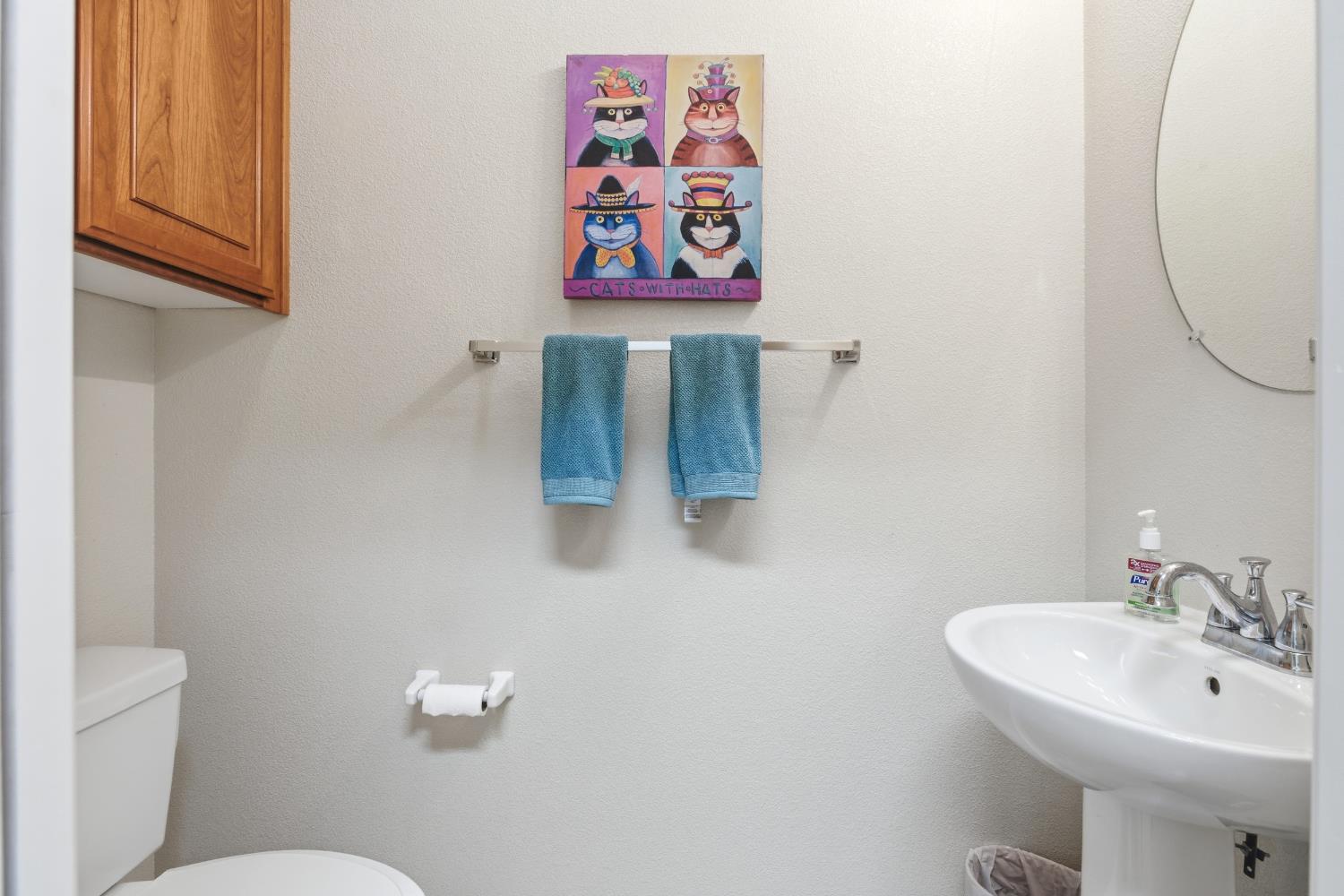 347 E Milgeo Ave, Ripon, CA 95366