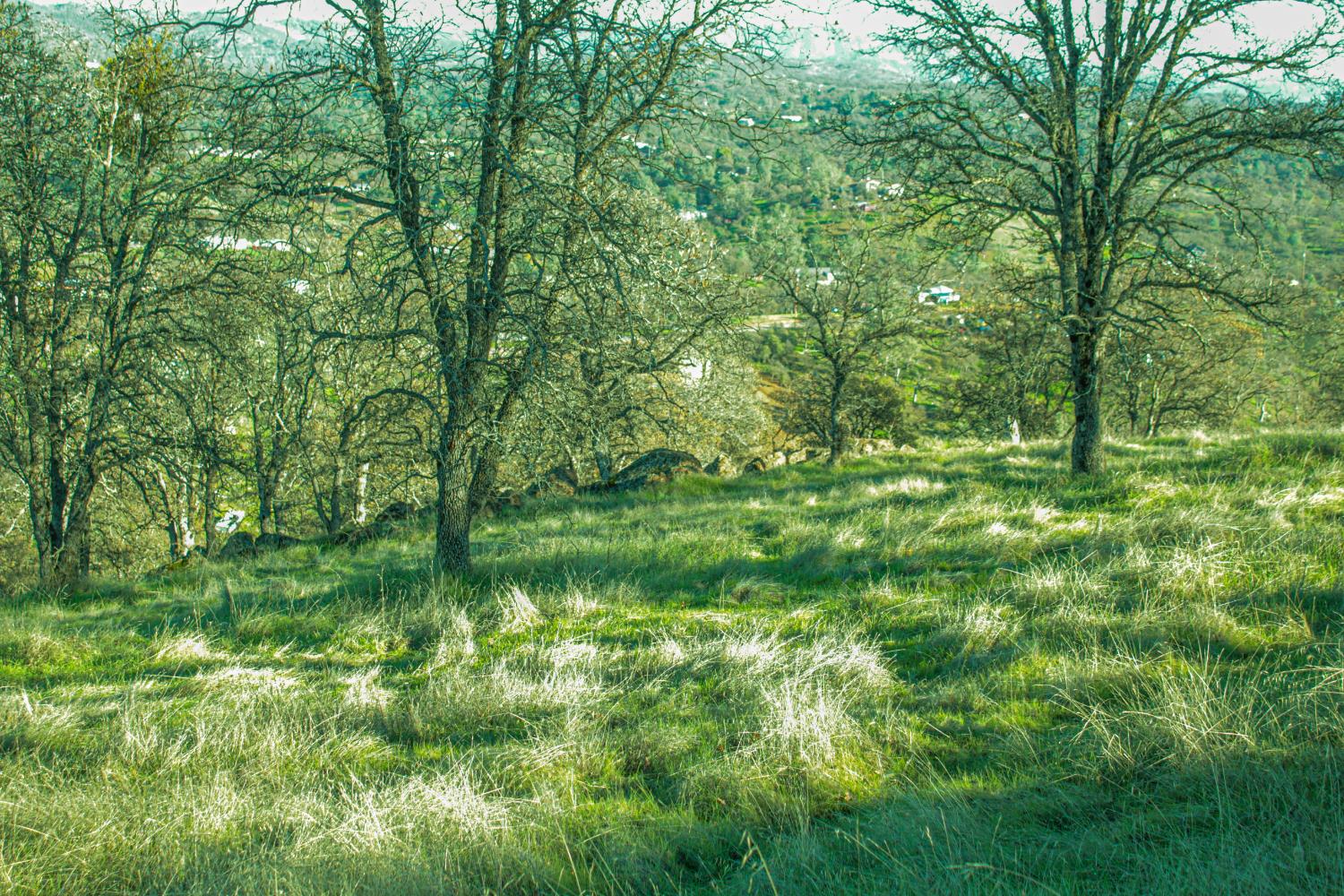 10597 Enramada Dr, La Grange, CA 95329