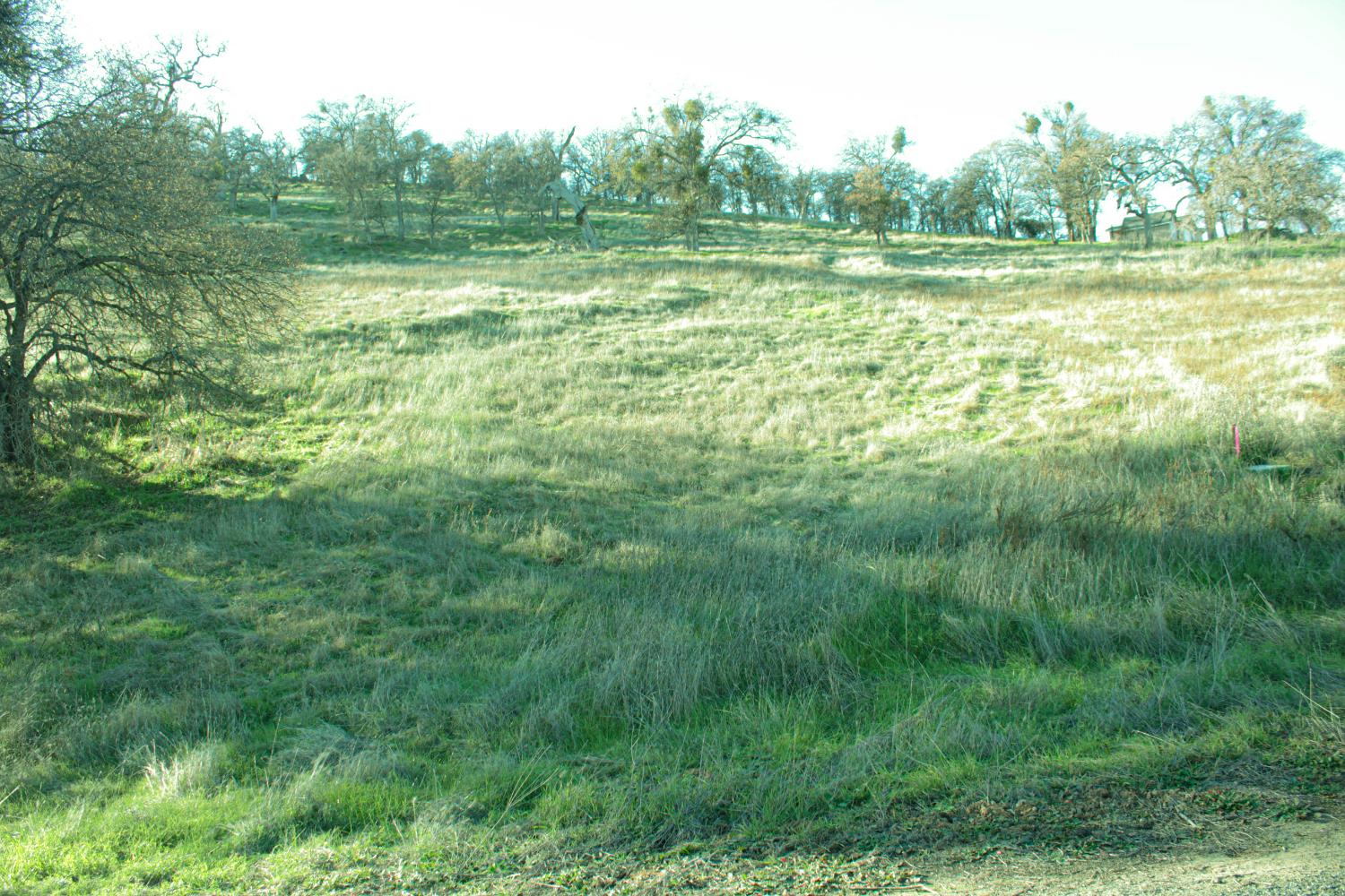 10597 Enramada Dr, La Grange, CA 95329