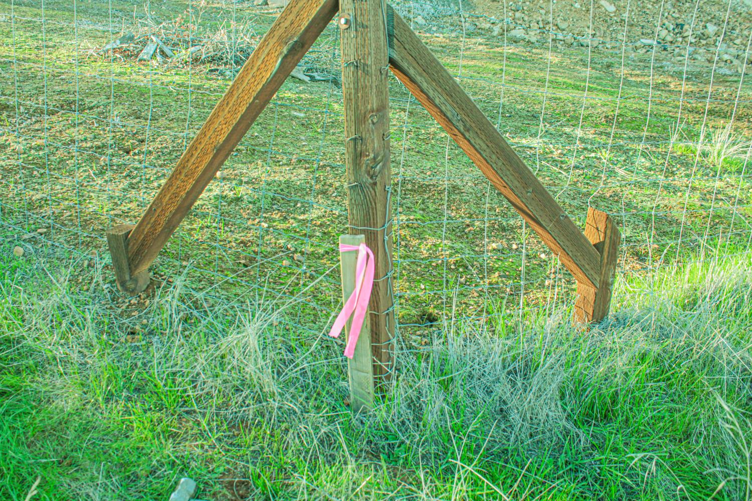 10597 Enramada Dr, La Grange, CA 95329