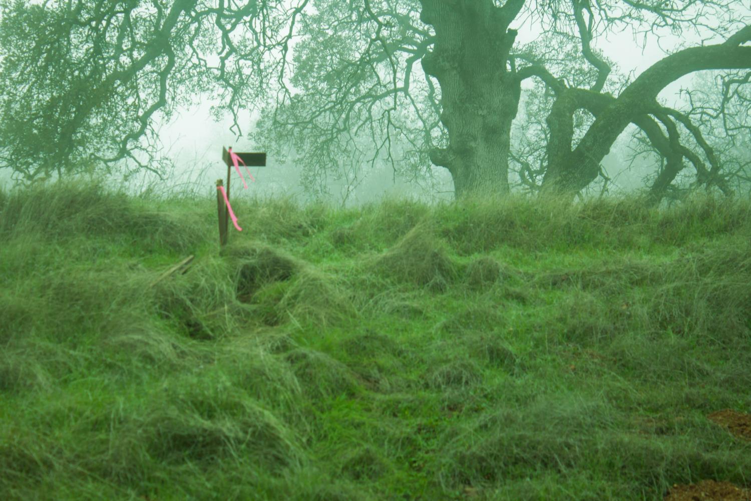 10597 Enramada Dr, La Grange, CA 95329