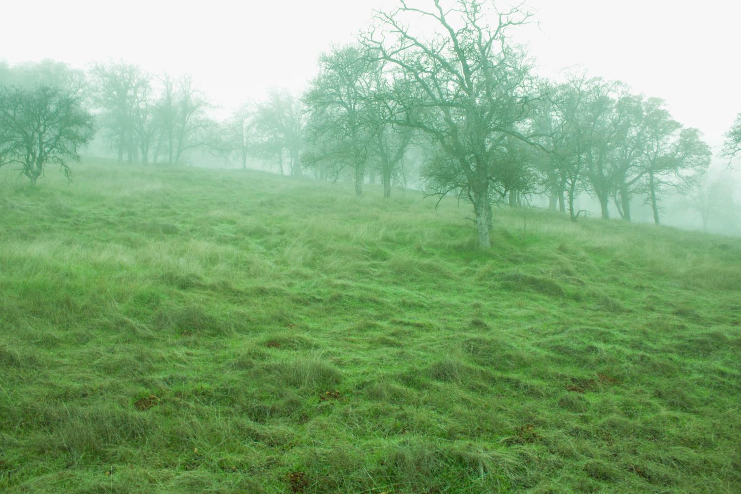 10597 Enramada Dr, La Grange, CA 95329