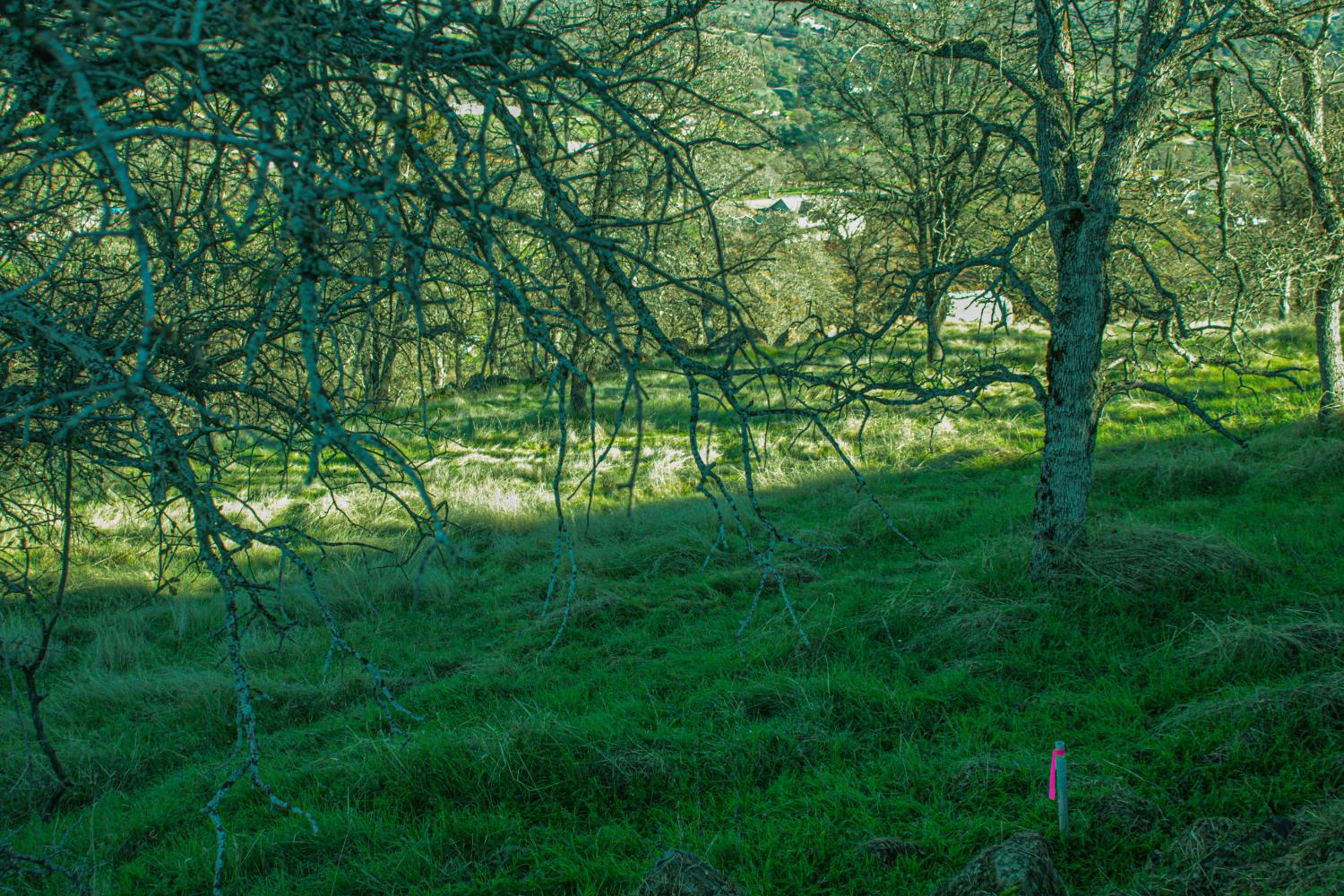 10597 Enramada Dr, La Grange, CA 95329