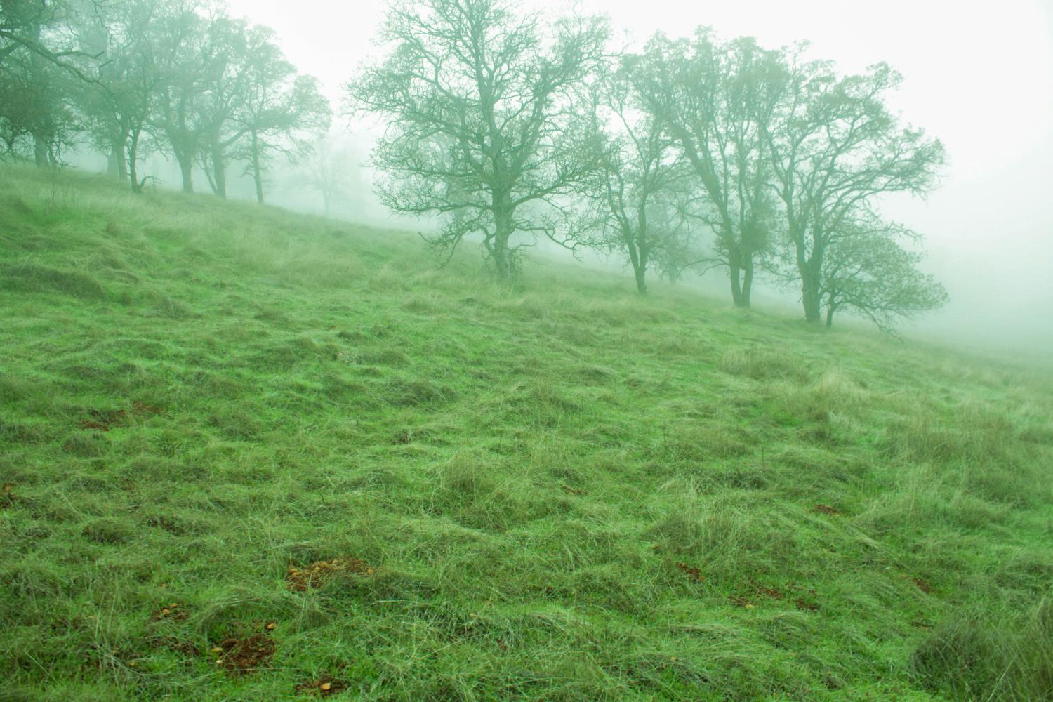 10597 Enramada Dr, La Grange, CA 95329