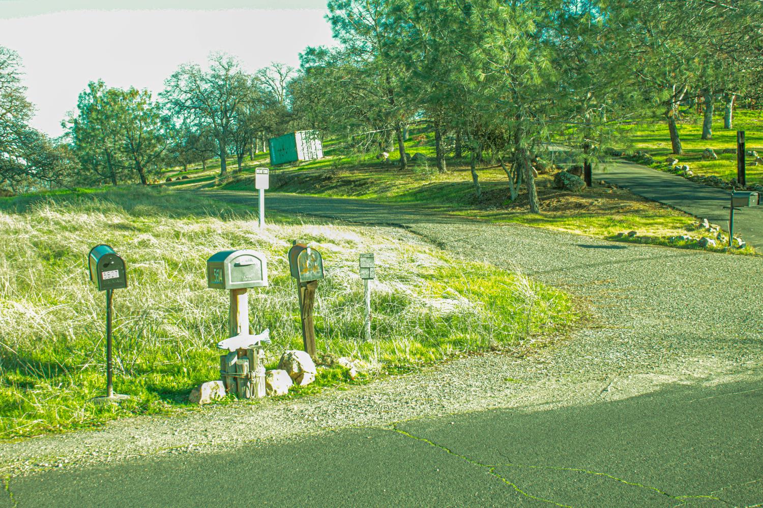 10597 Enramada Dr, La Grange, CA 95329