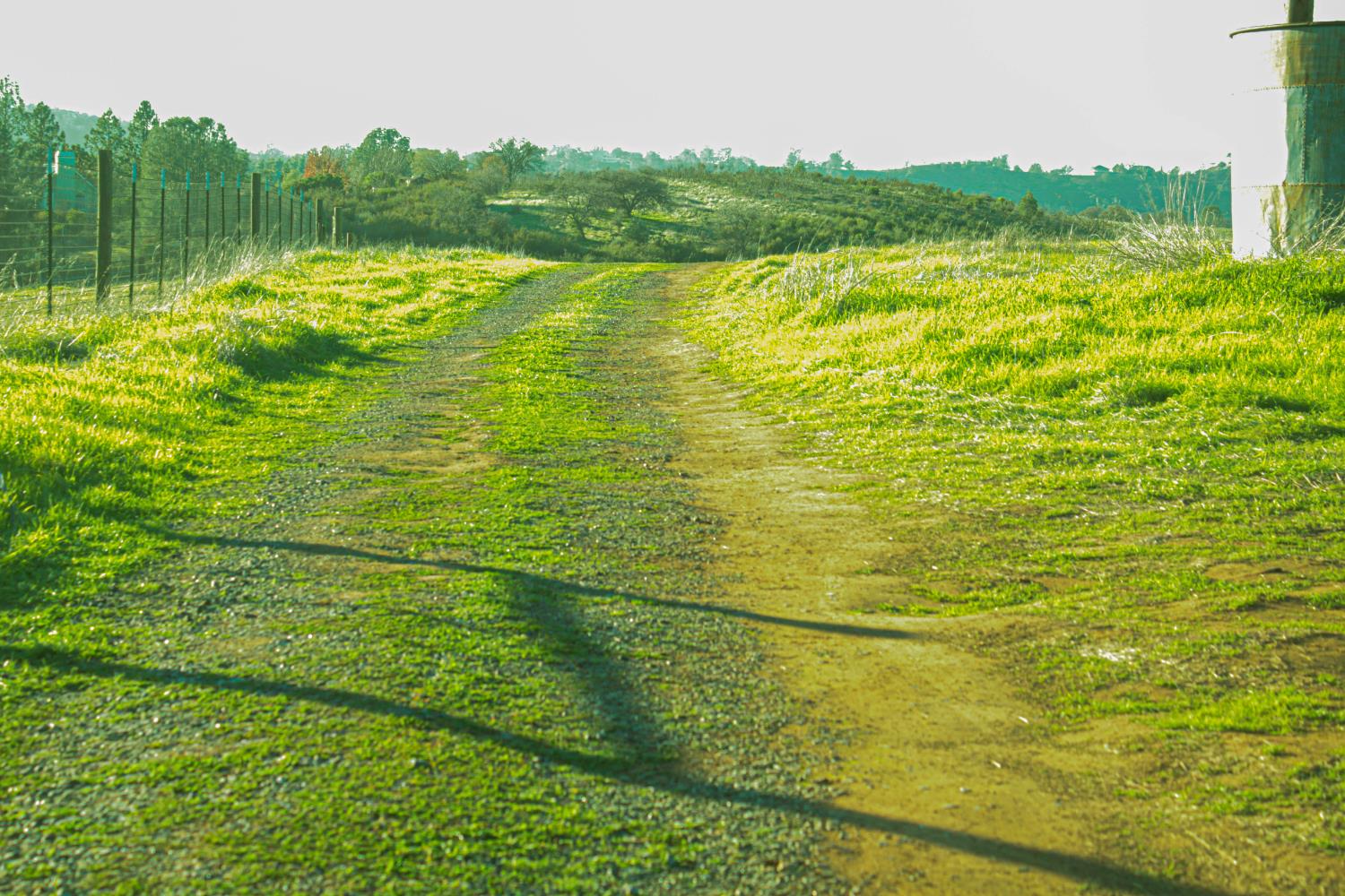 2296 Azucena Ct, La Grange, CA 95329