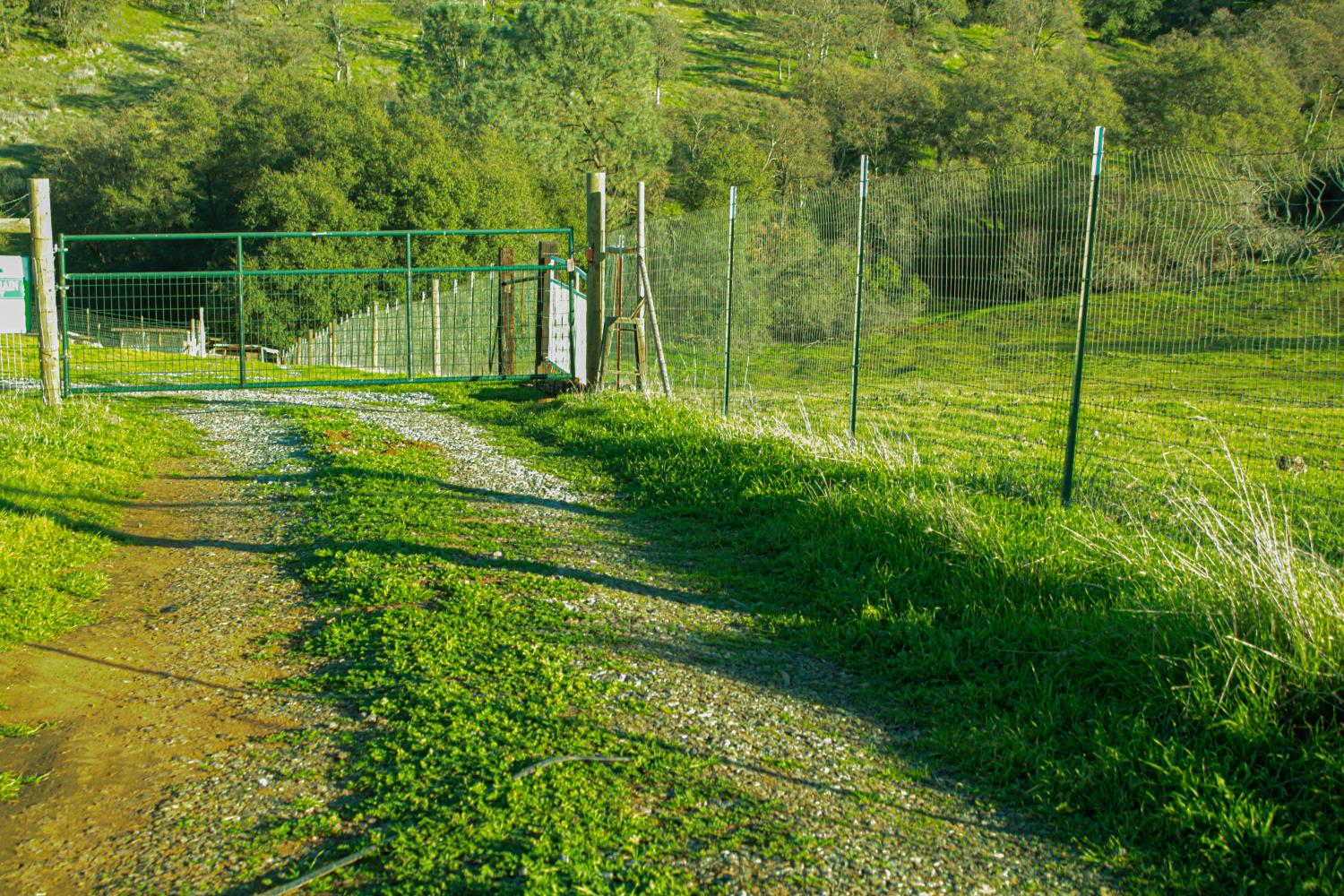 2296 Azucena Ct, La Grange, CA 95329