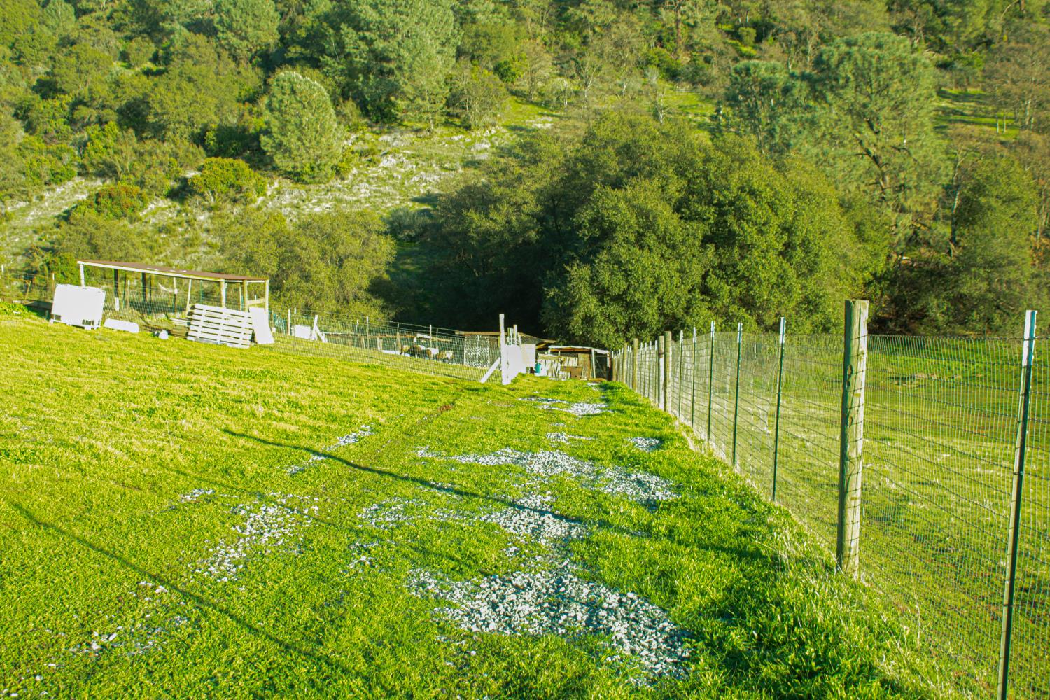 2296 Azucena Ct, La Grange, CA 95329