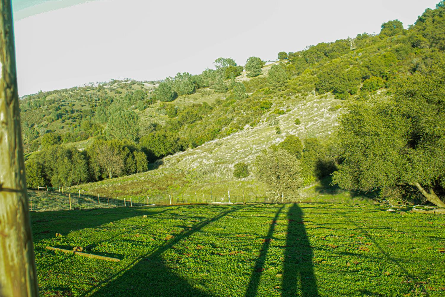 2296 Azucena Ct, La Grange, CA 95329