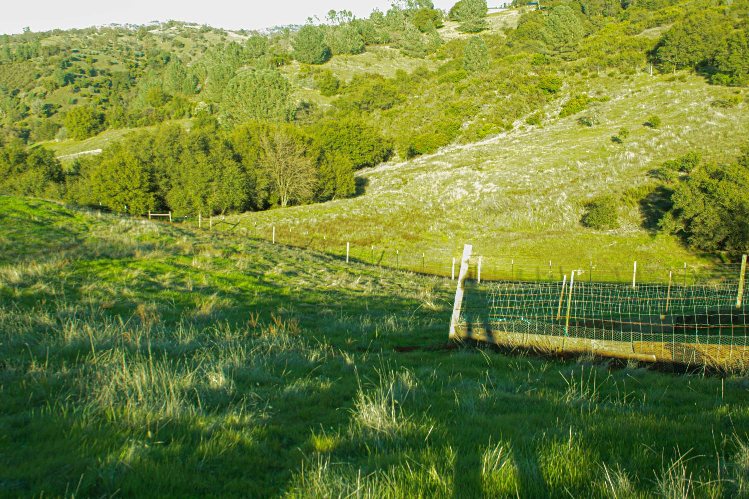 2296 Azucena Ct, La Grange, CA 95329