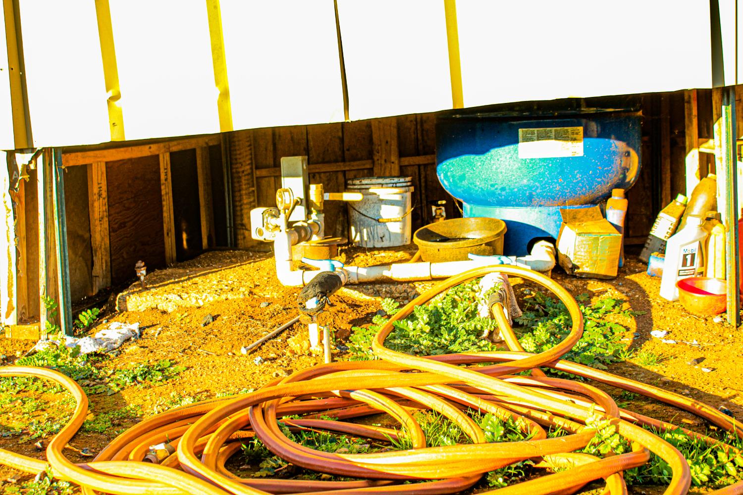 2296 Azucena Ct, La Grange, CA 95329