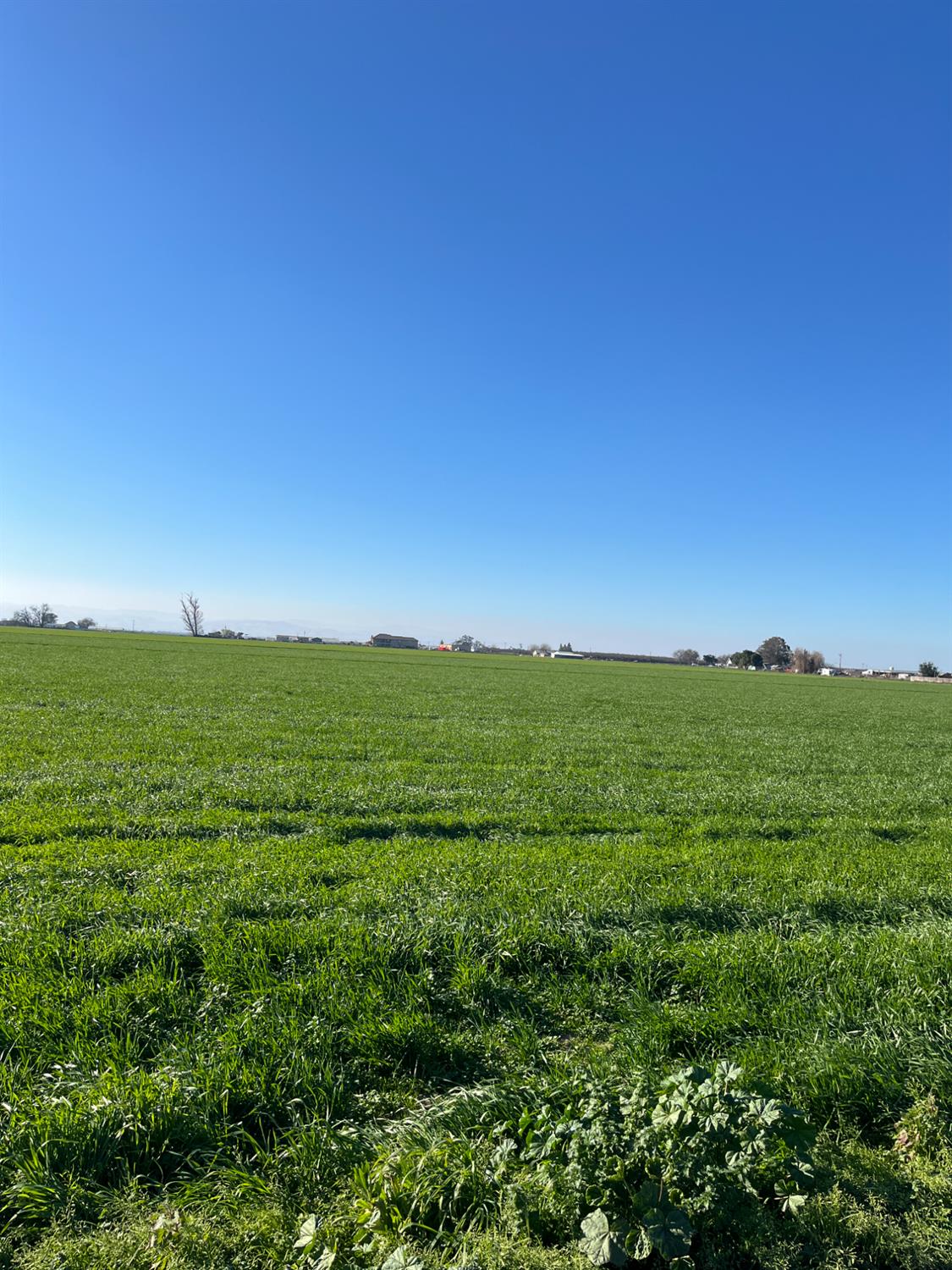 6425 S Prairie Flower Rd, Turlock, CA 95380