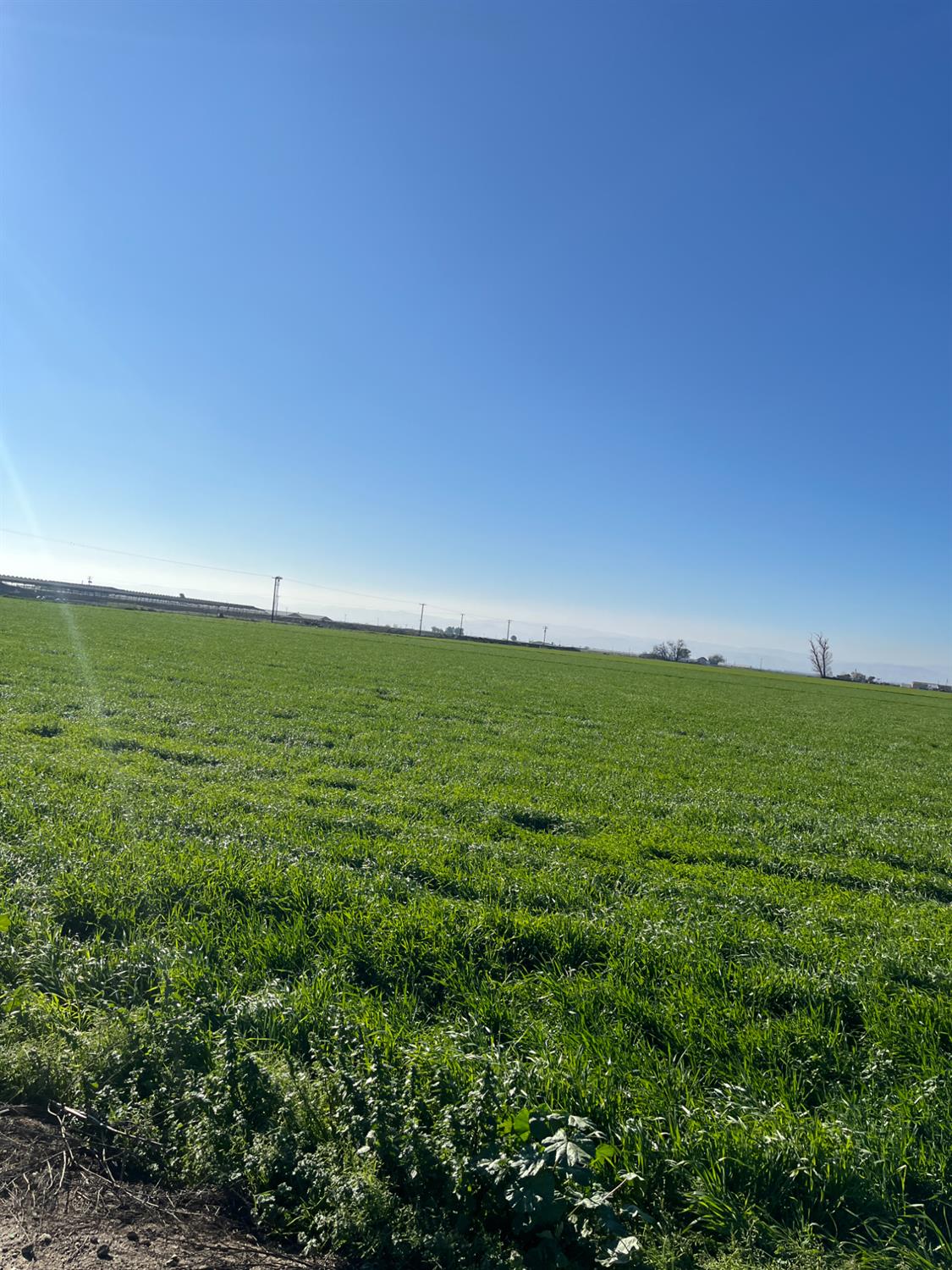 6425 S Prairie Flower Rd, Turlock, CA 95380