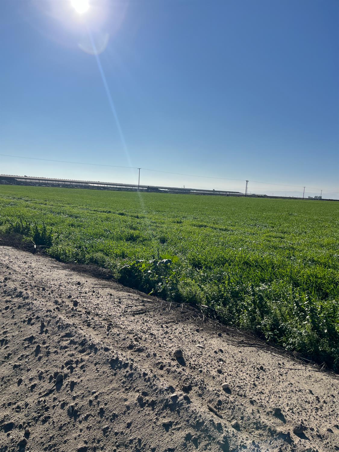 6425 S Prairie Flower Rd, Turlock, CA 95380