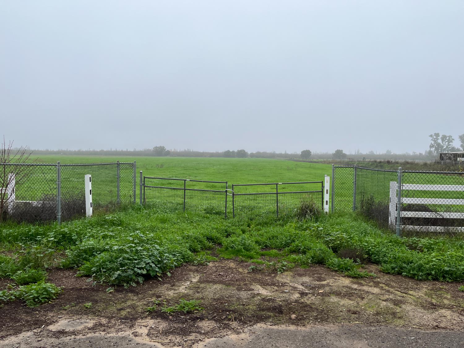 26304 E Mahon Ave, Escalon, CA 95366