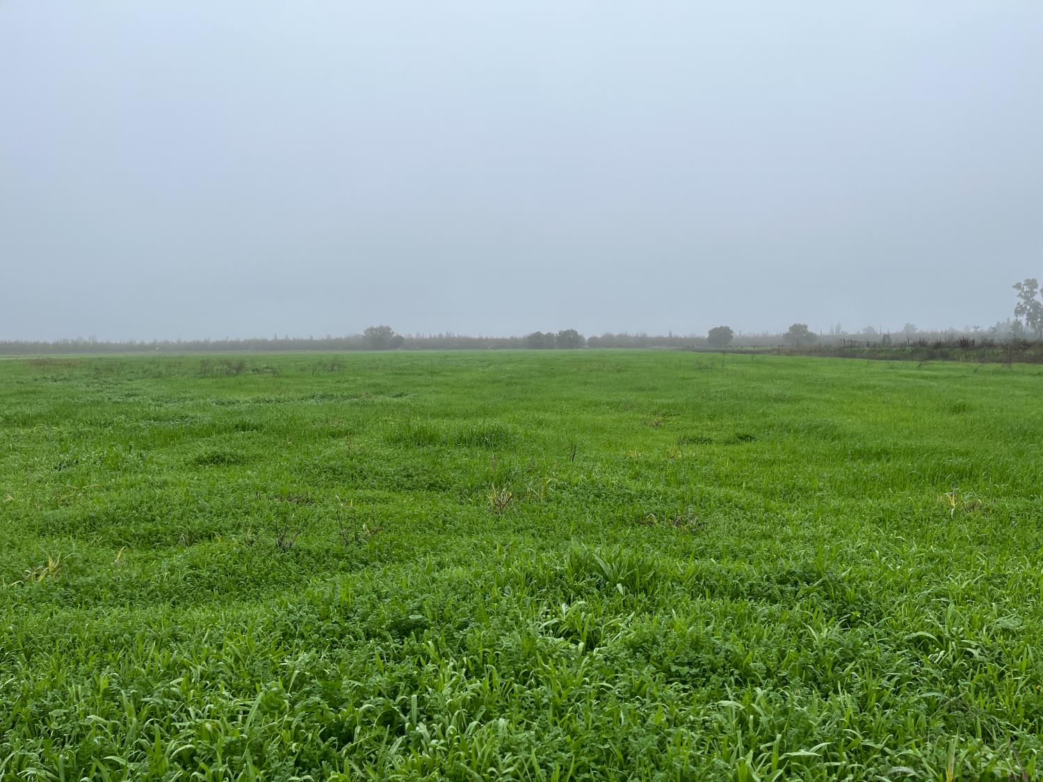 26304 E Mahon Ave, Escalon, CA 95366