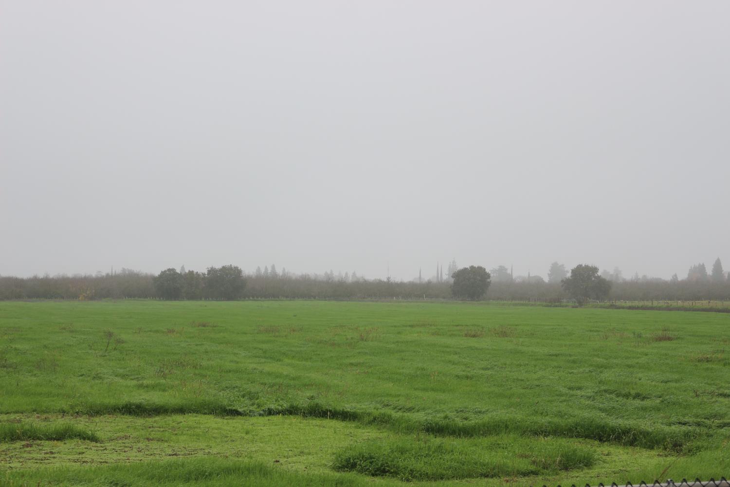 26304 E Mahon Ave, Escalon, CA 95366