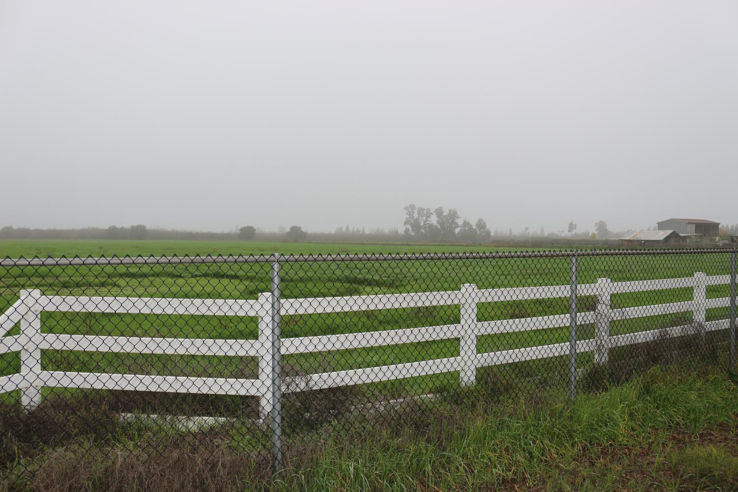 26304 E Mahon Ave, Escalon, CA 95366