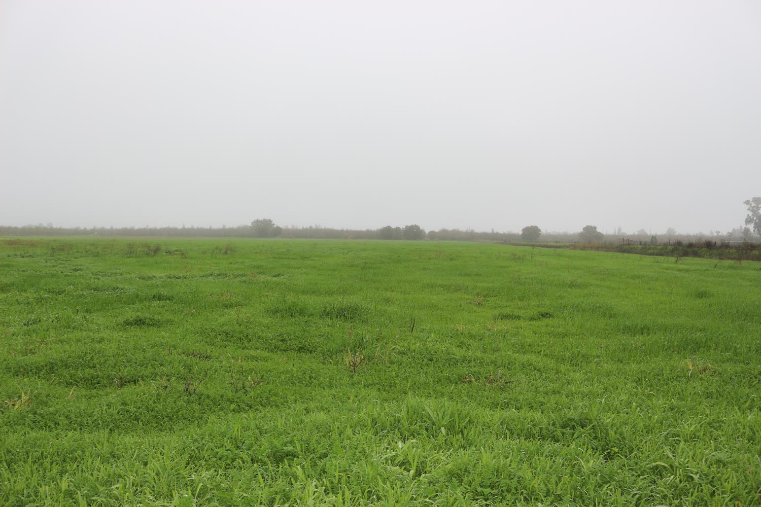 26304 E Mahon Ave, Escalon, CA 95366