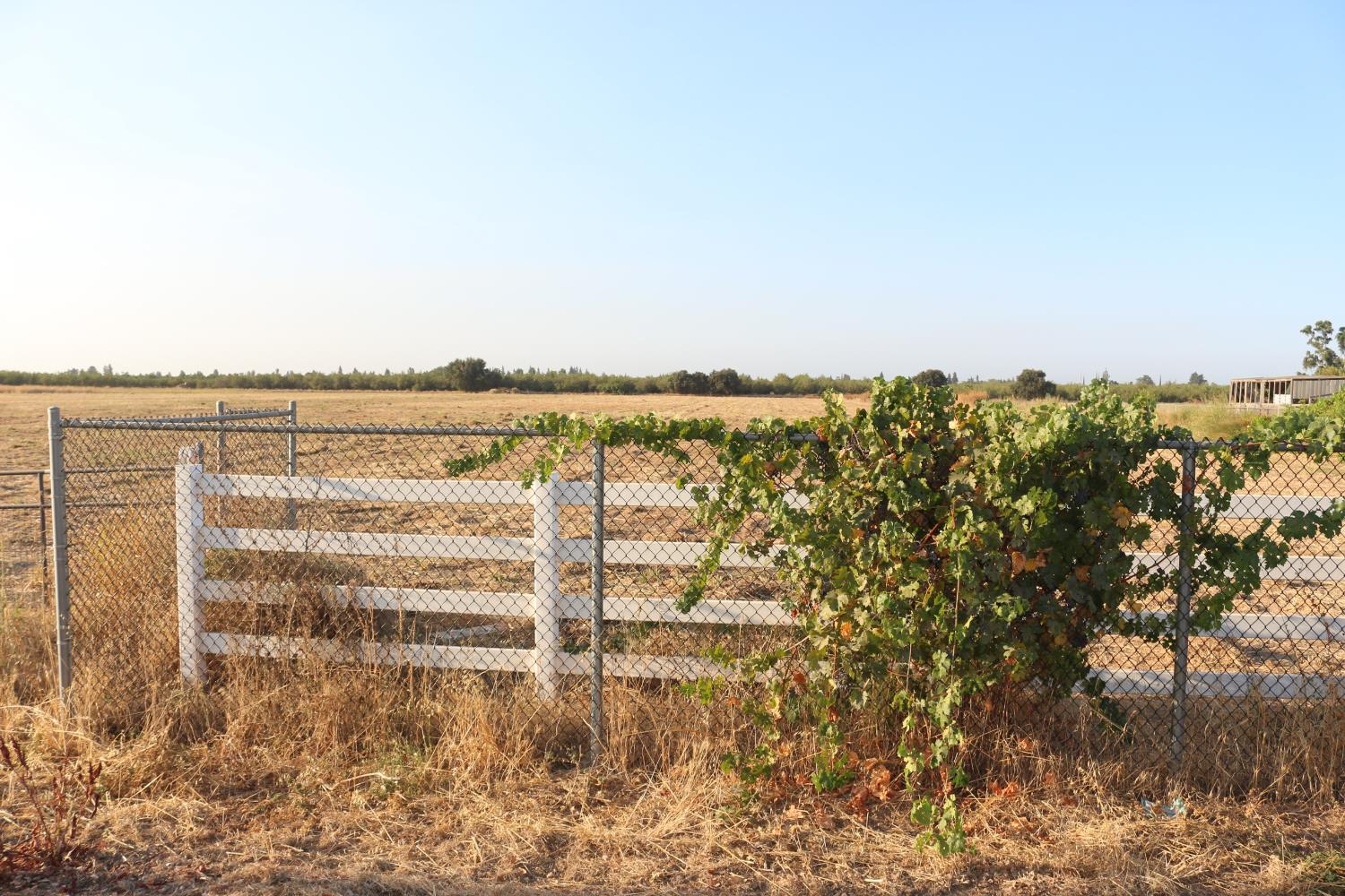 26304 E Mahon Ave, Escalon, CA 95366