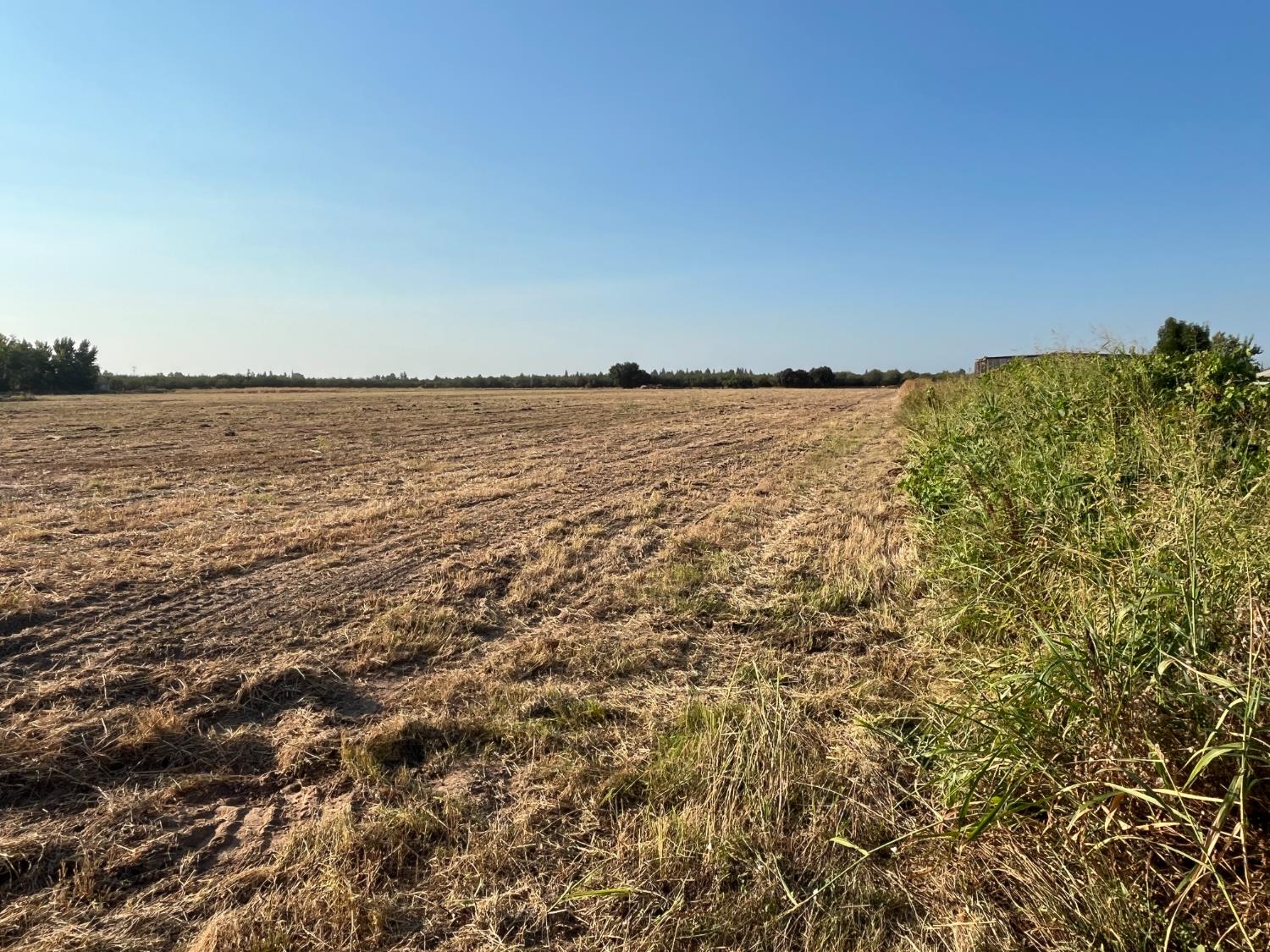 26304 E Mahon Ave, Escalon, CA 95366