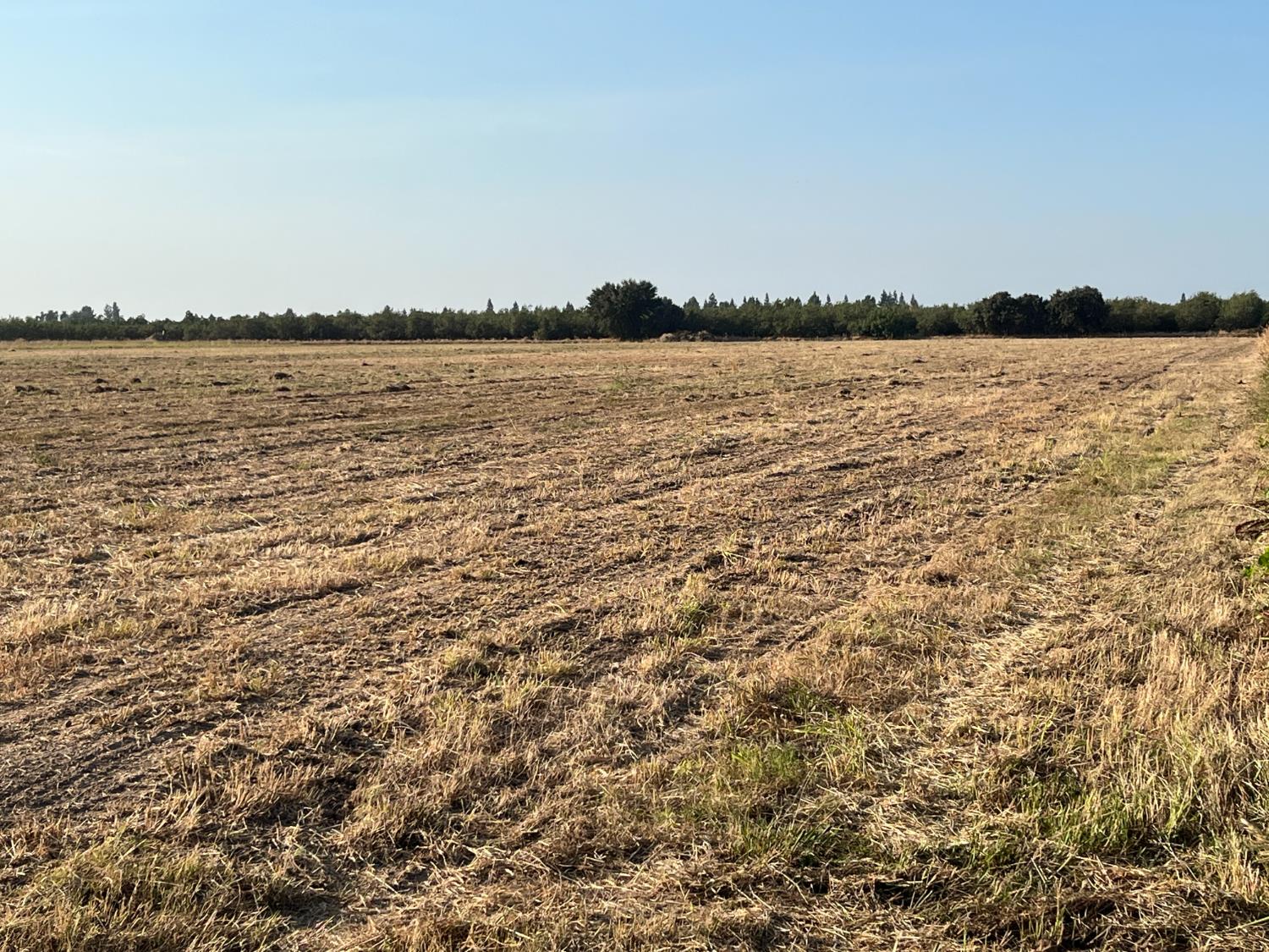 26304 E Mahon Ave, Escalon, CA 95366