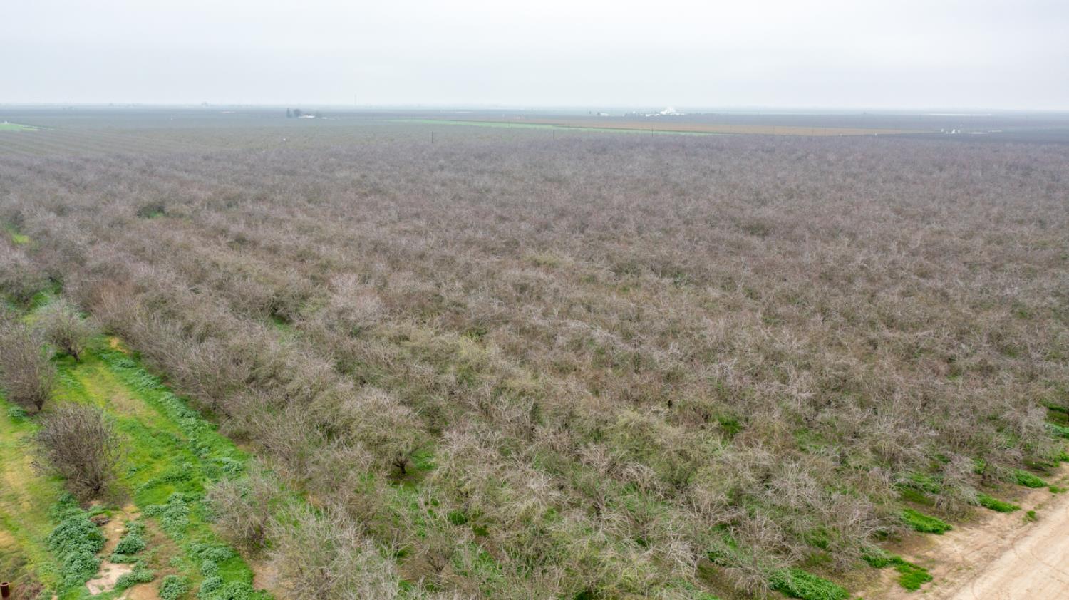 0 Ave 48 & Rd 164, Earlimart, CA 93219