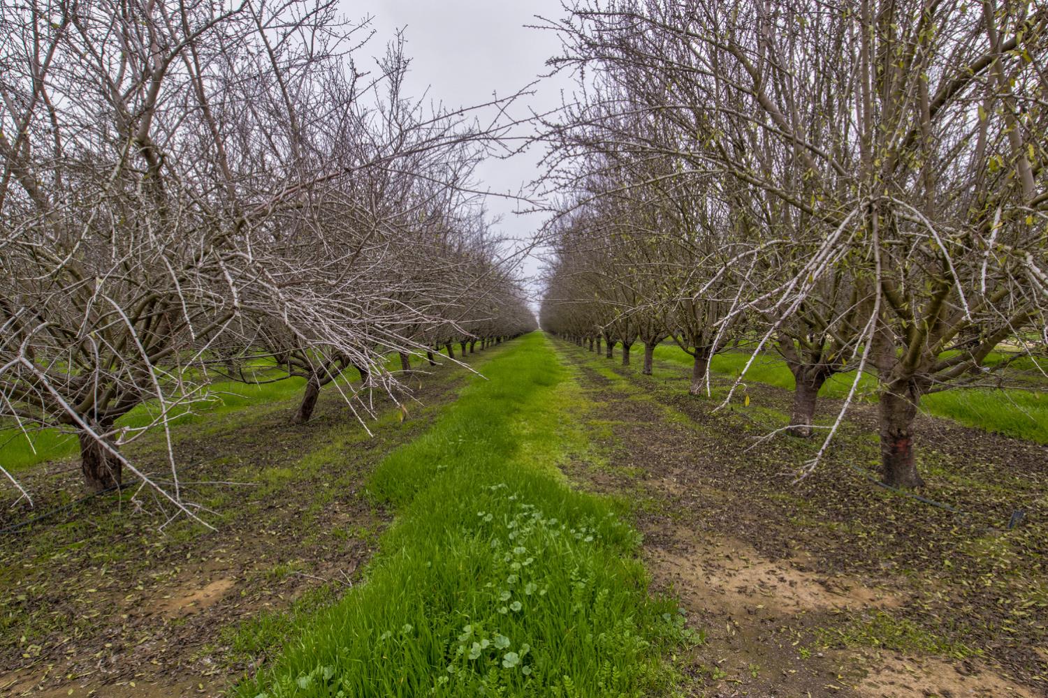 0 Ave 48, Earlimart, CA 93219