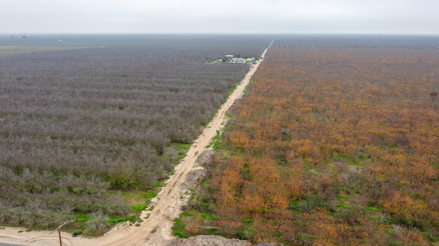 0 Ave 48, Earlimart, CA 93219