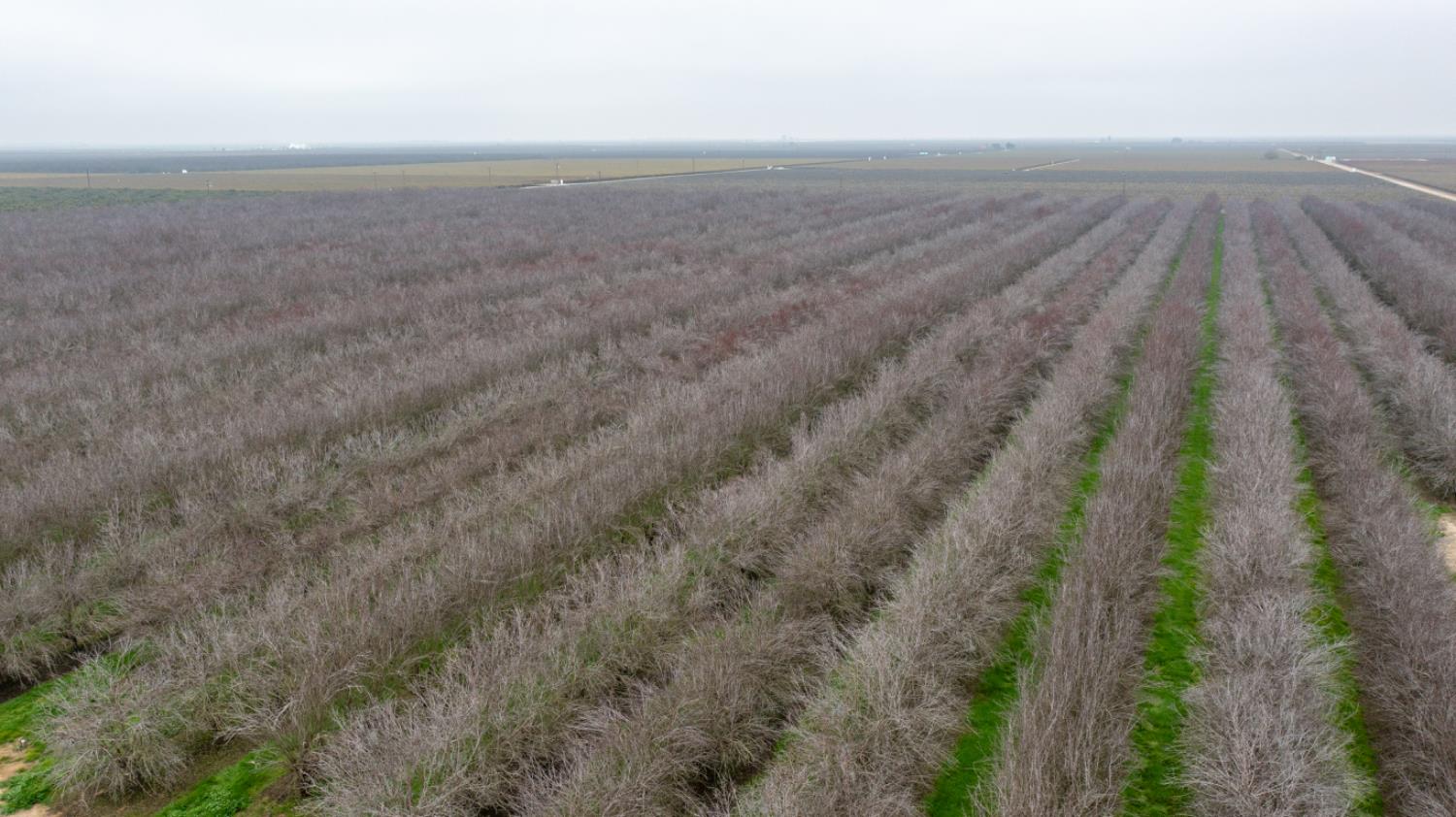 0 Ave 48, Earlimart, CA 93219