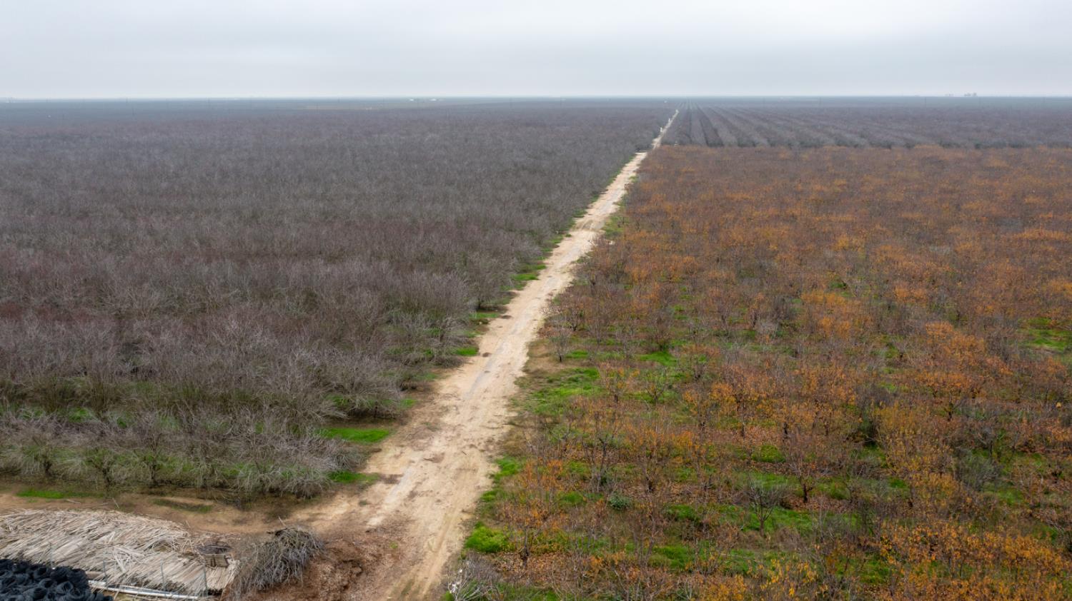 0 Ave 48, Earlimart, CA 93219