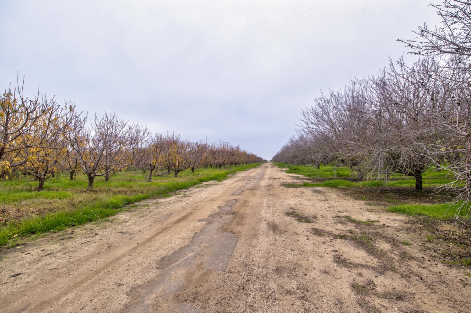 0 Ave 48, Earlimart, CA 93219