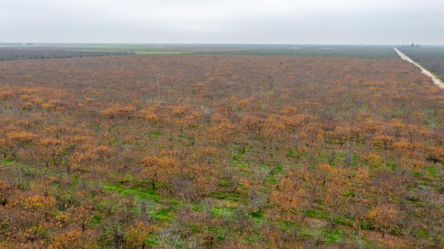 0 Ave 48, Earlimart, CA 93219