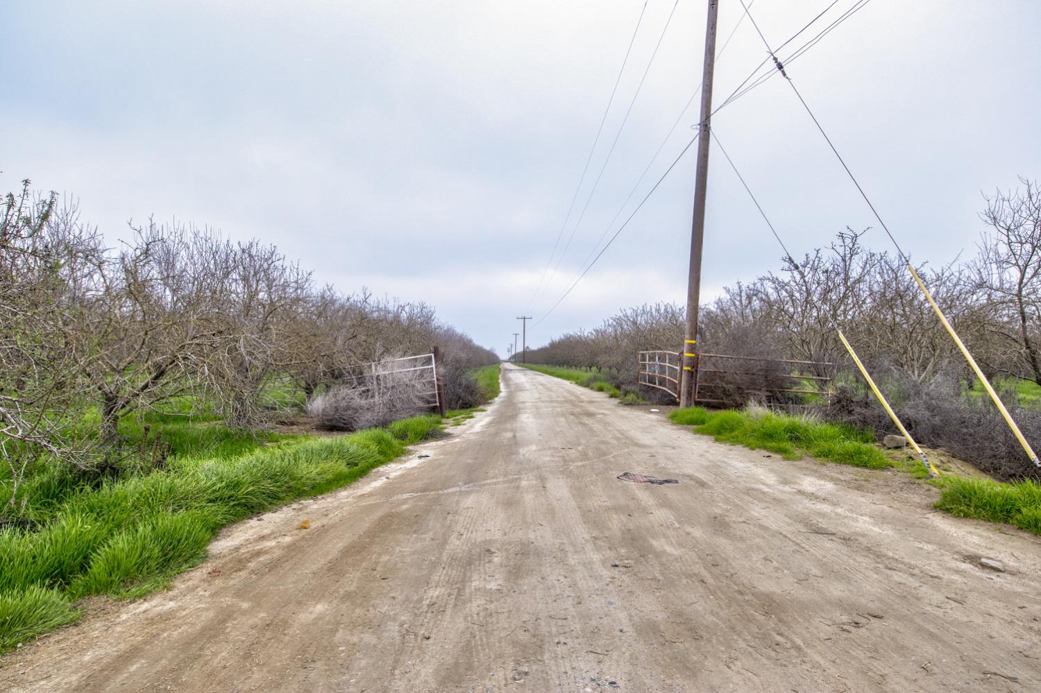 0 Road 120, Earlimart, CA 93219