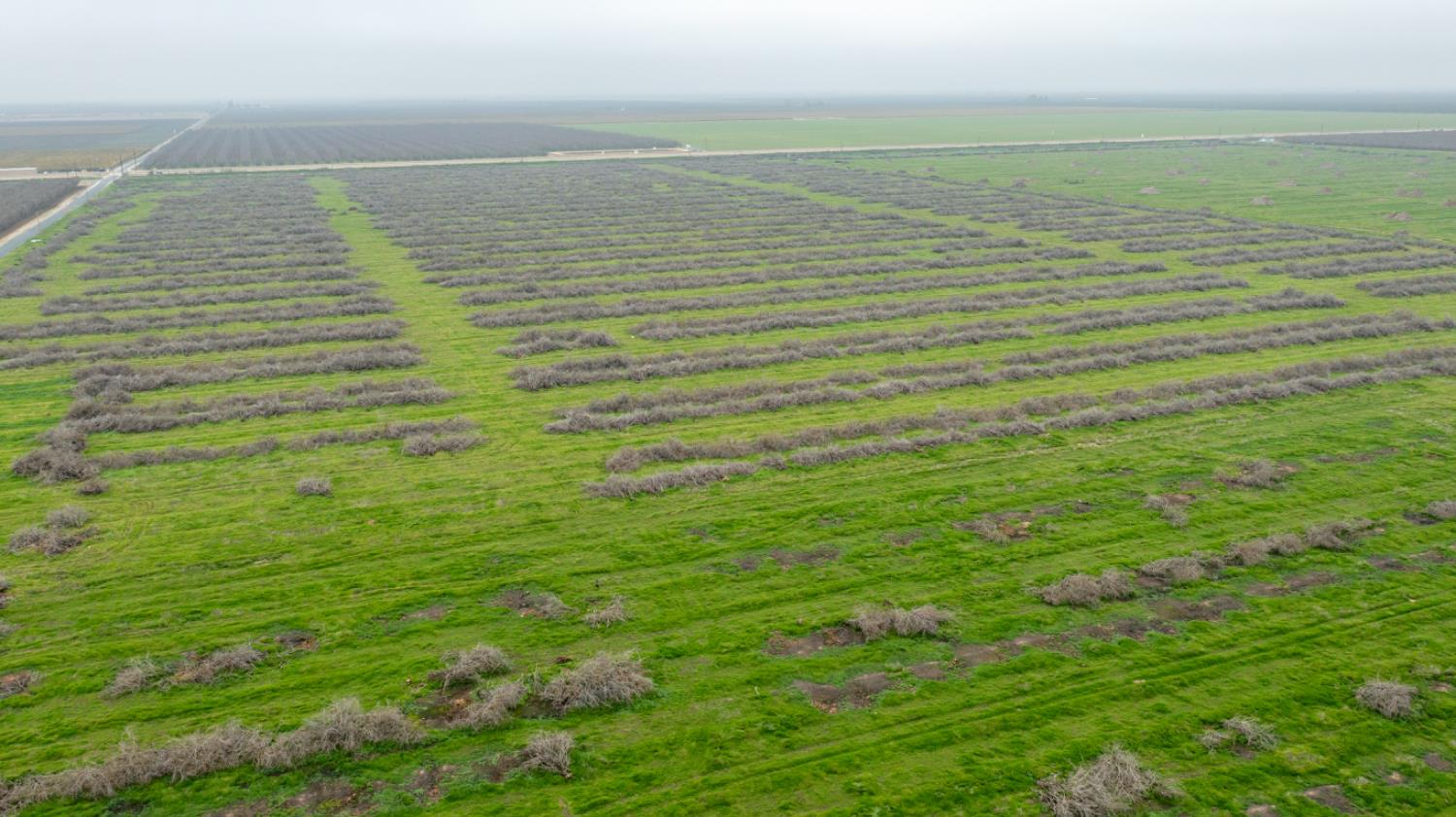 0 Ave 32 & Road 192, Earlimart, CA 93219