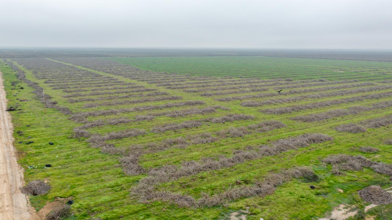 0 Ave 32 & Road 192, Earlimart, CA 93219