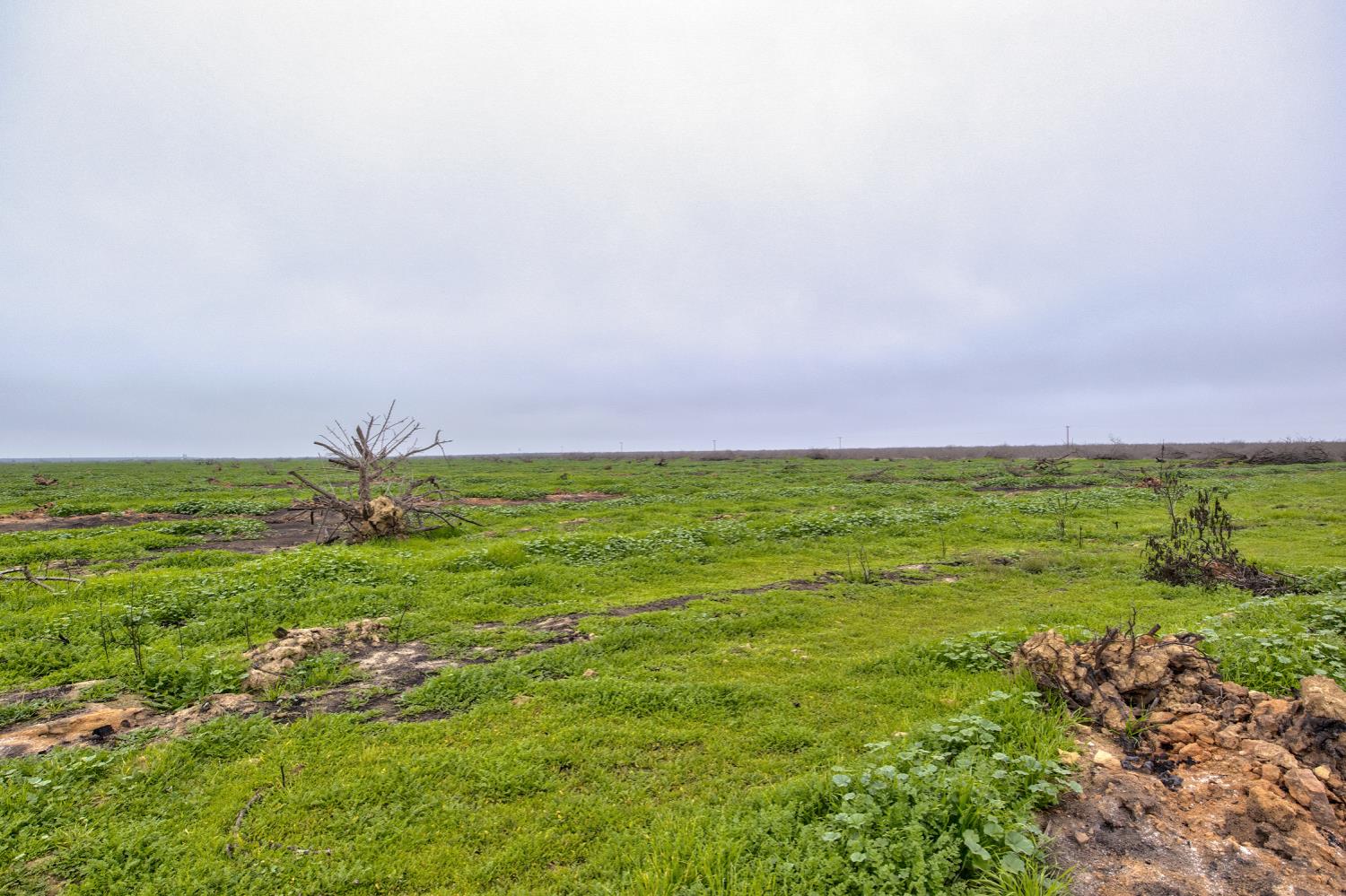 0 Ave 32 & Road 192, Earlimart, CA 93219