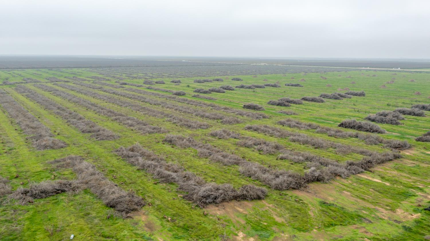 0 Ave 32 & Road 192, Earlimart, CA 93219