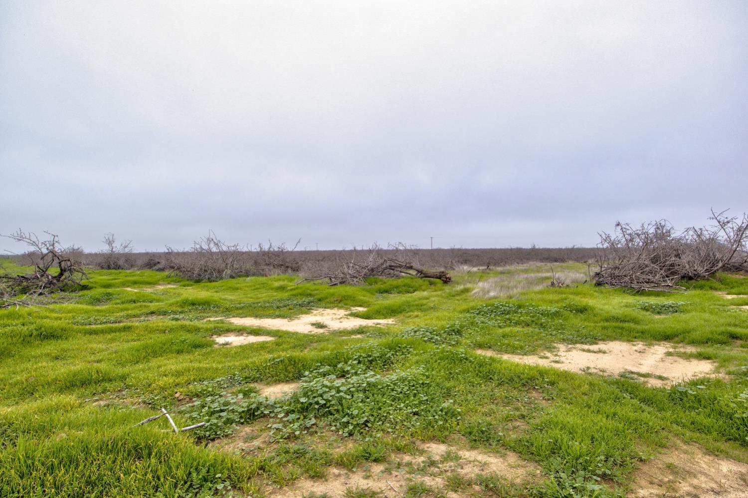 0 Ave 32 & Road 192, Earlimart, CA 93219