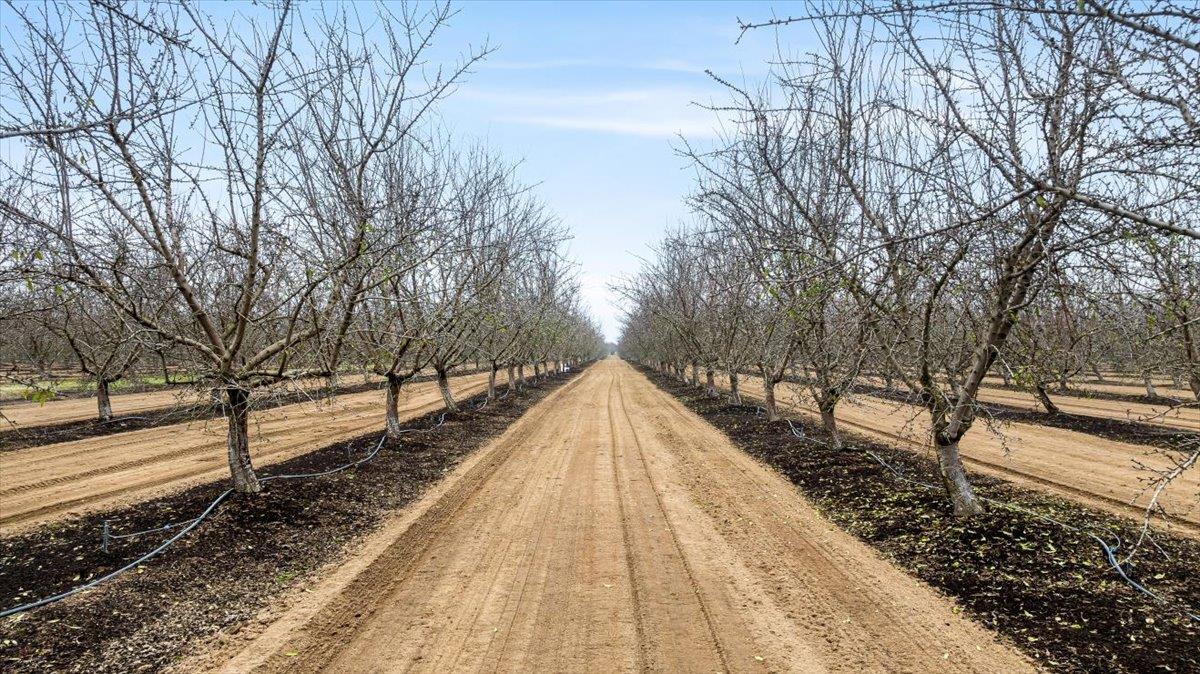 20339 Sexton Rd, Escalon, CA 95320